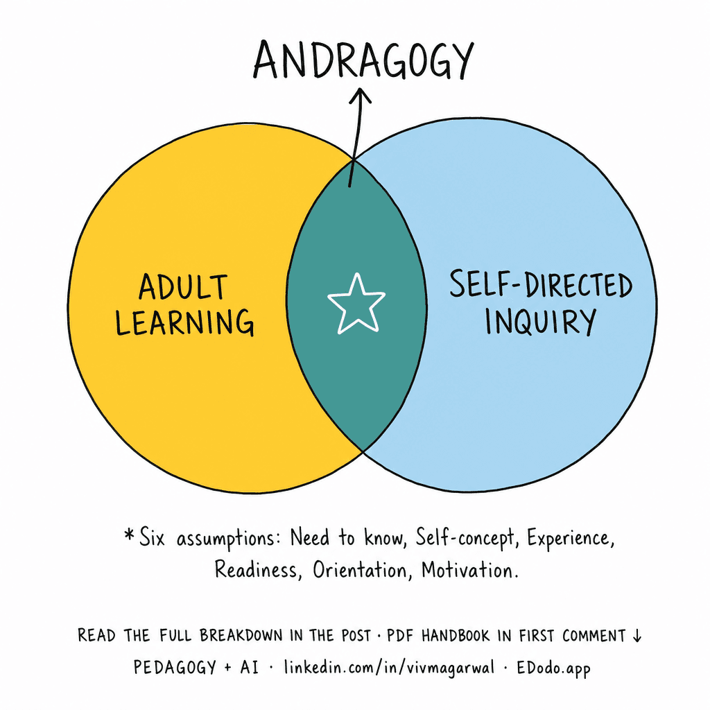 Knowles' Andragogy — sketchnote
